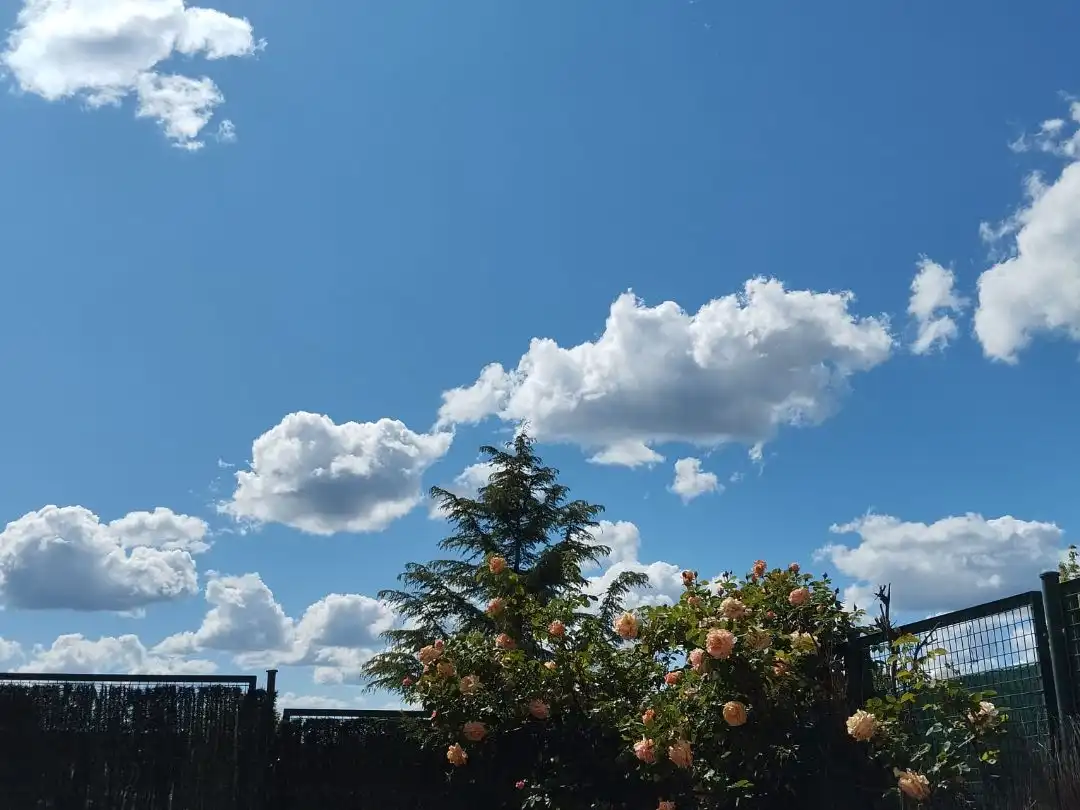 Flat for rent in Villanueva de la Cañada, Madrid