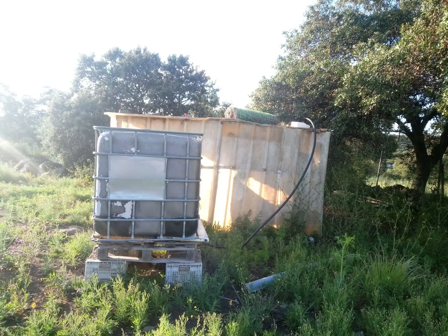 Terreni e lotti in vendita a Castilblanco de los Arroyos, imagen 22