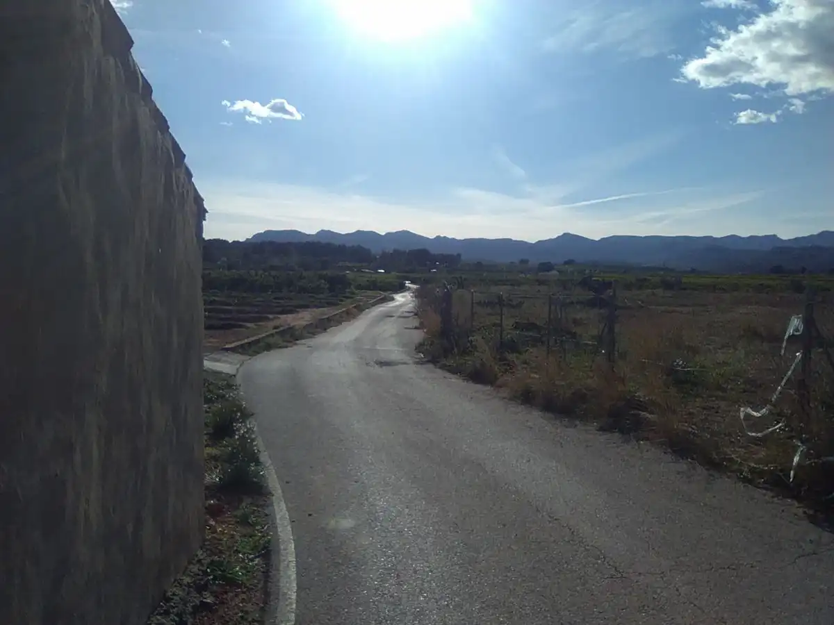 Terreno rústico en venta en Alfara de la Baronia, imagen 16