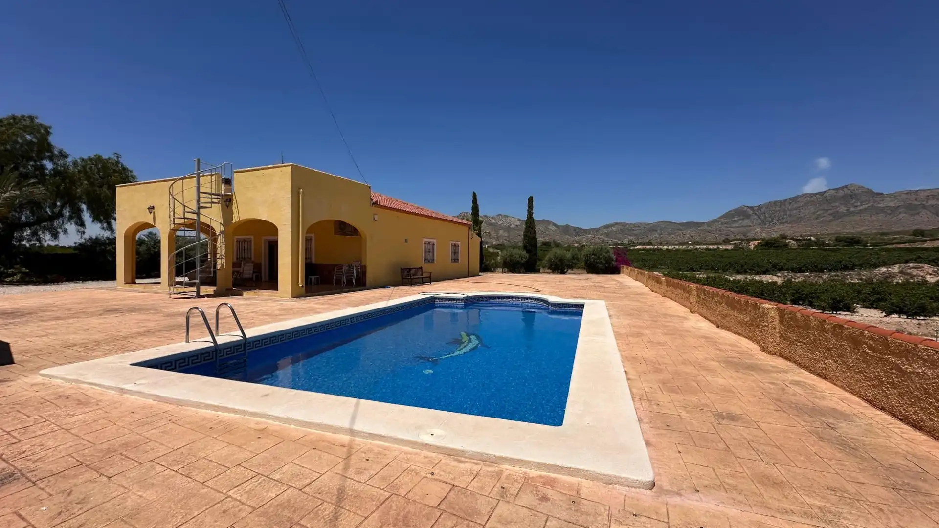 Piscina de Finca rústica en venda en Albatera amb Terrassa i Piscina