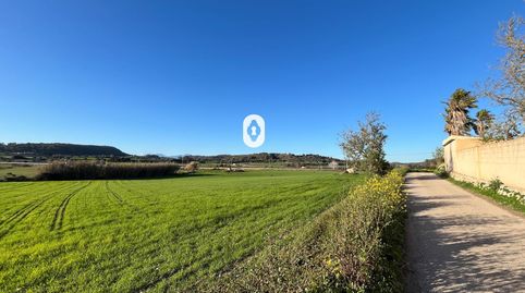Terreno edificable en venta  Montuïri., imatge 4