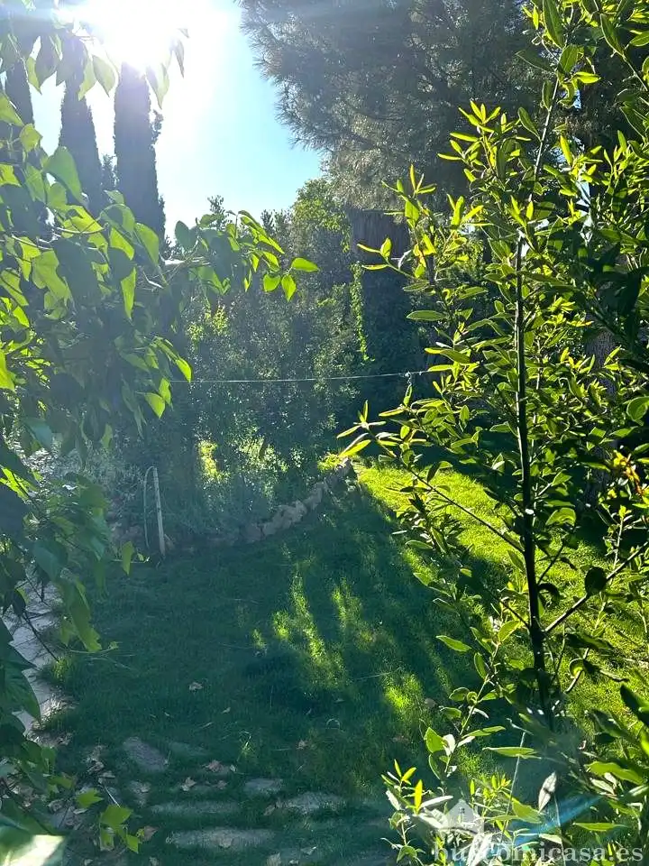Jardí de Casa adosada en venda en Linares amb Aire condicionat, Jardí privat i Terrassa