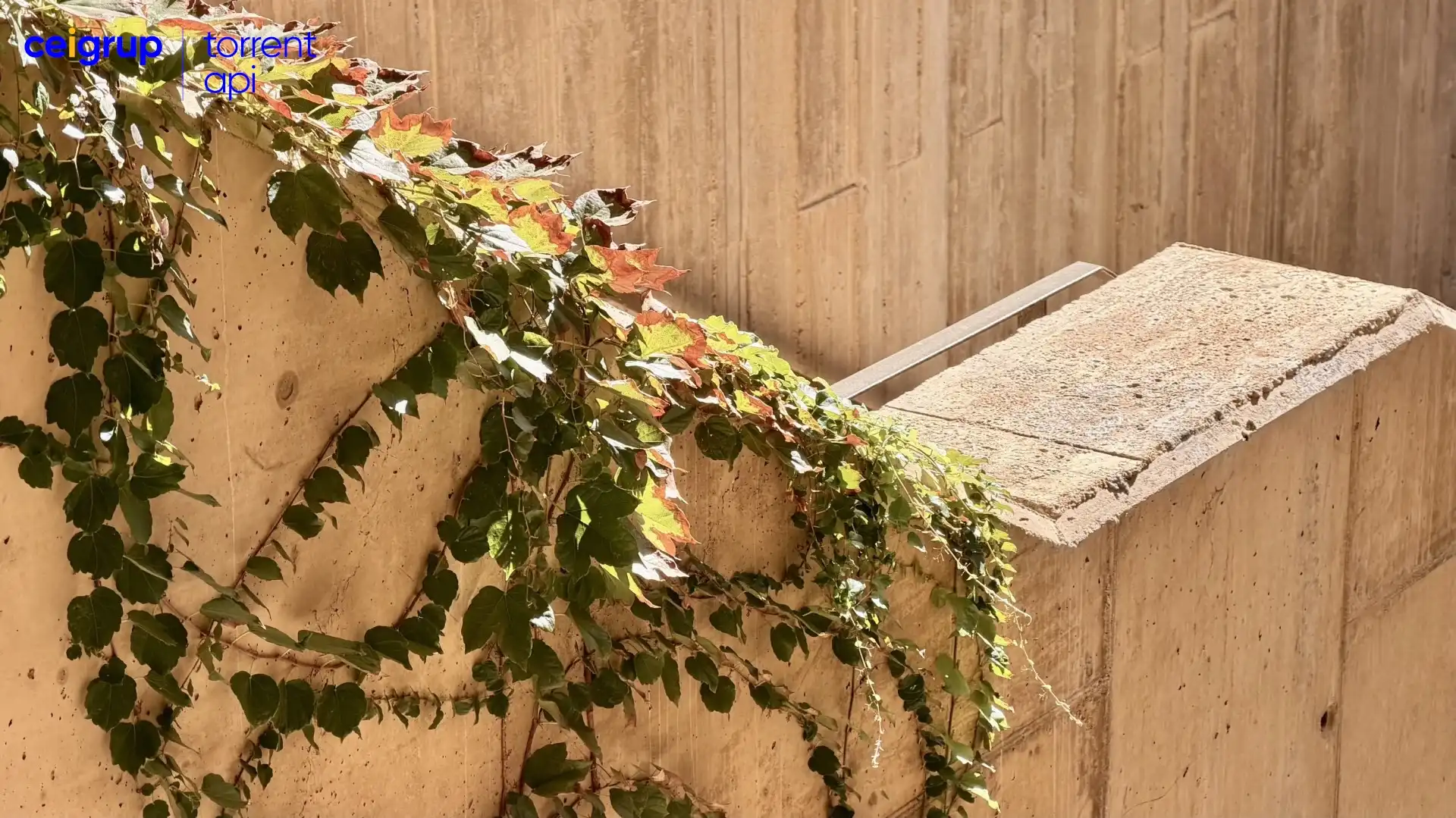 Flat with terrace for sale in Sa Riera - Sa Fontansa, imagen 34