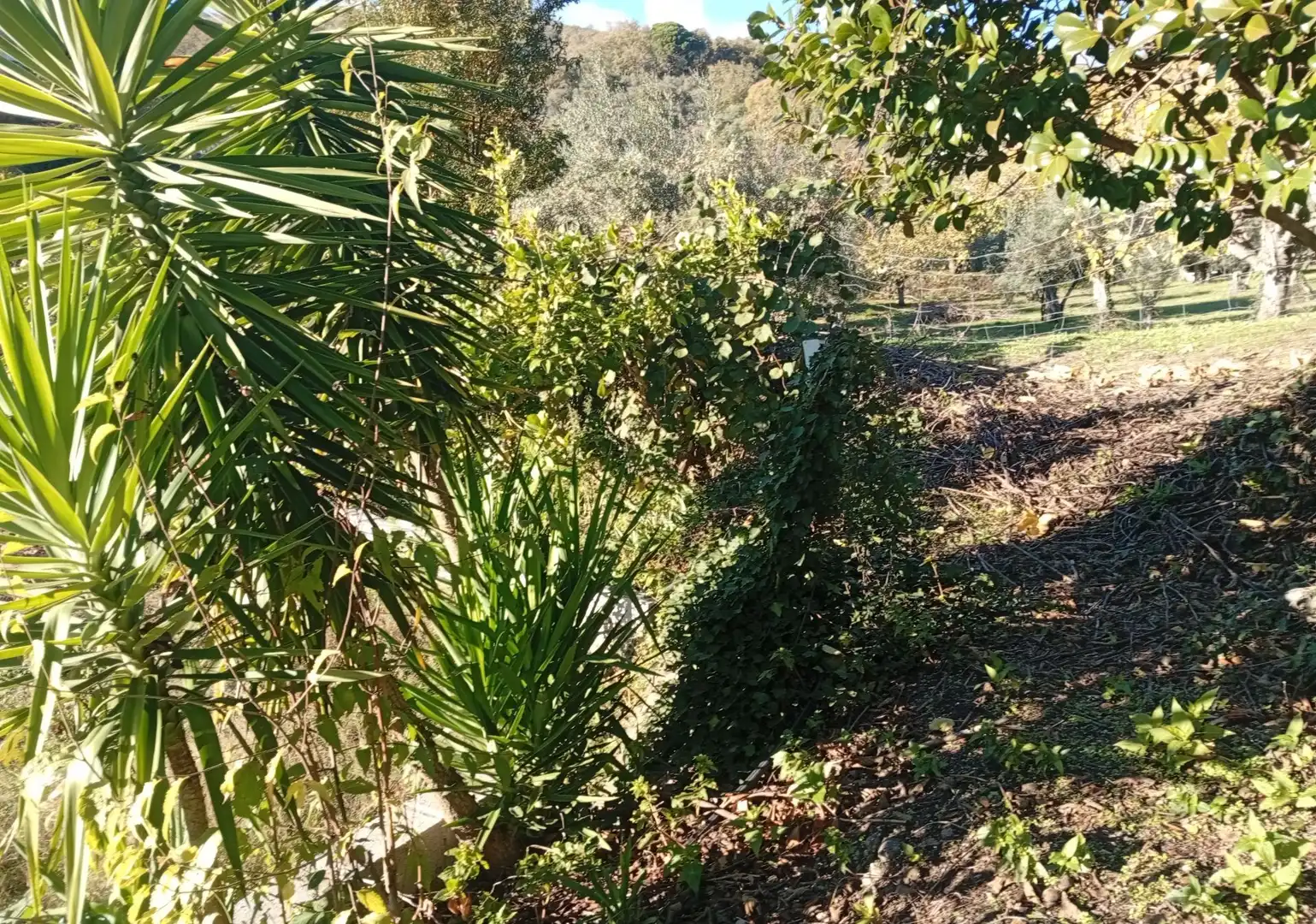 Terreni e lotti in vendita a Villanueva de la Vera, imagen 50
