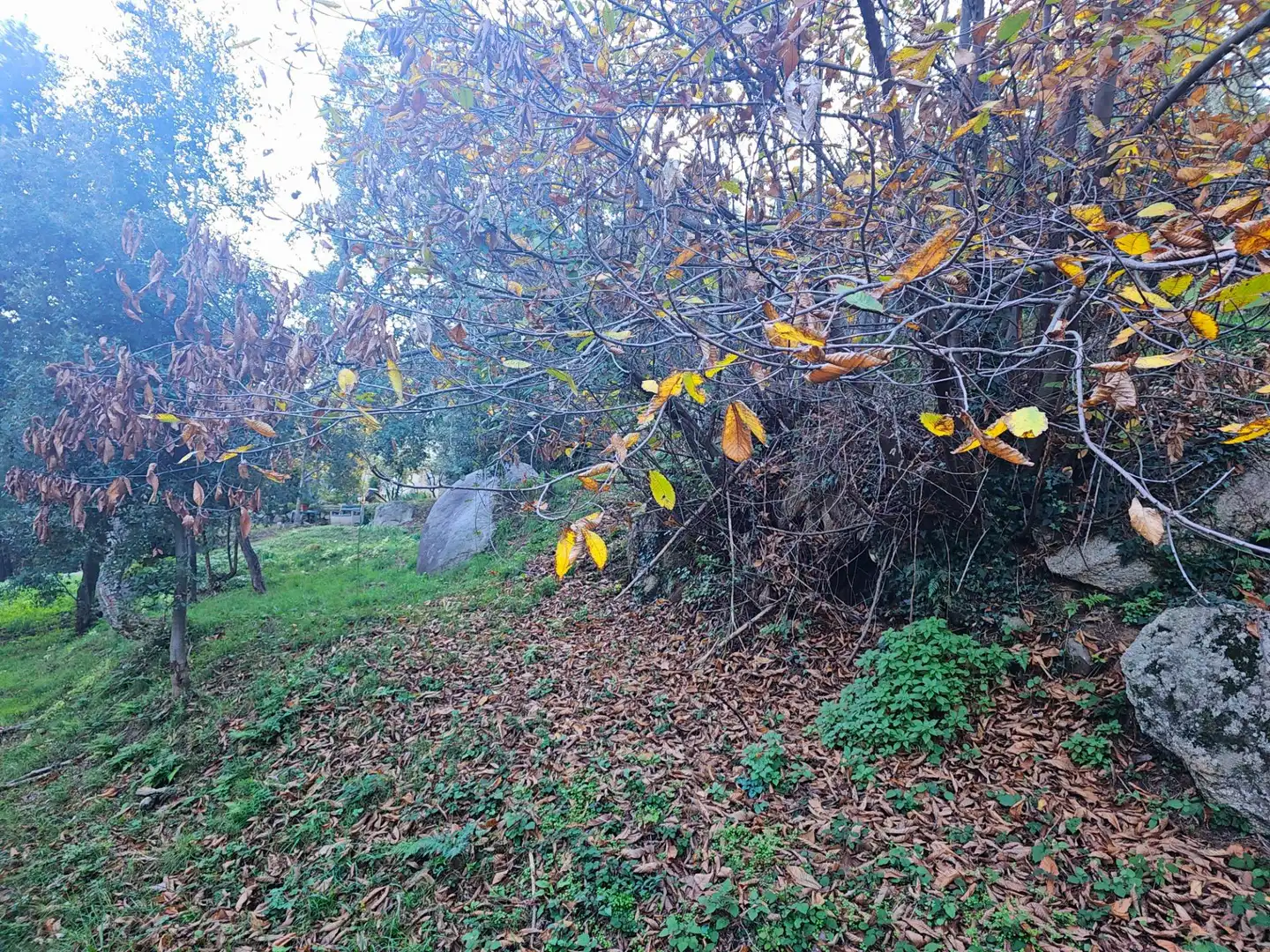 Casa rústica amb jardí en venda a Riells i Viabrea, imagen 39