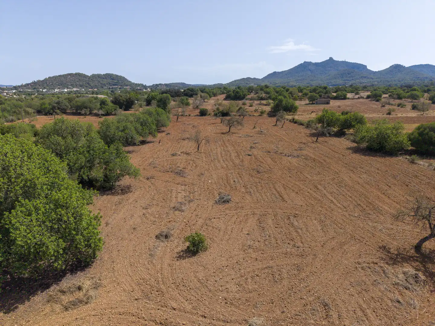 Lands and plots for sale in Felanitx Poble, imagen 5