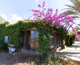 Garden of Country house for sale in Santanyí  with Terrace and Swimming Pool