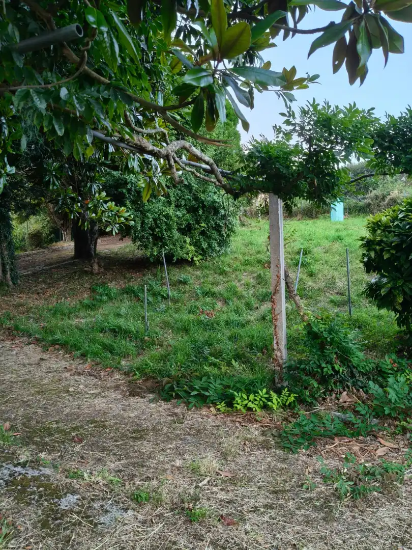 Finca rústica en venda en Cedeira amb Jardí privat i Forn