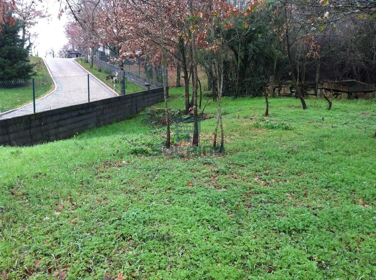 Terreni e lotti in vendita a Pereiro de Aguiar