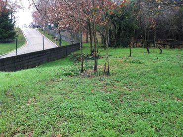 Residential land for sale in Pereiro de Aguiar