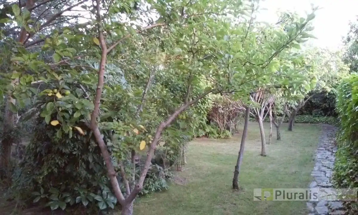 Jardín de Casa o chalet en venta en El Viso de San Juan con Terraza, Trastero y Piscina