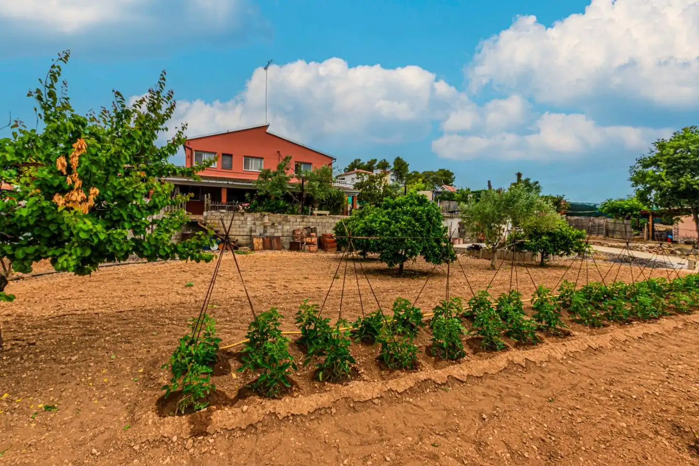 Jardí de Casa o xalet en venda en Avinyonet del Penedès amb Jardí privat, Terrassa i Traster