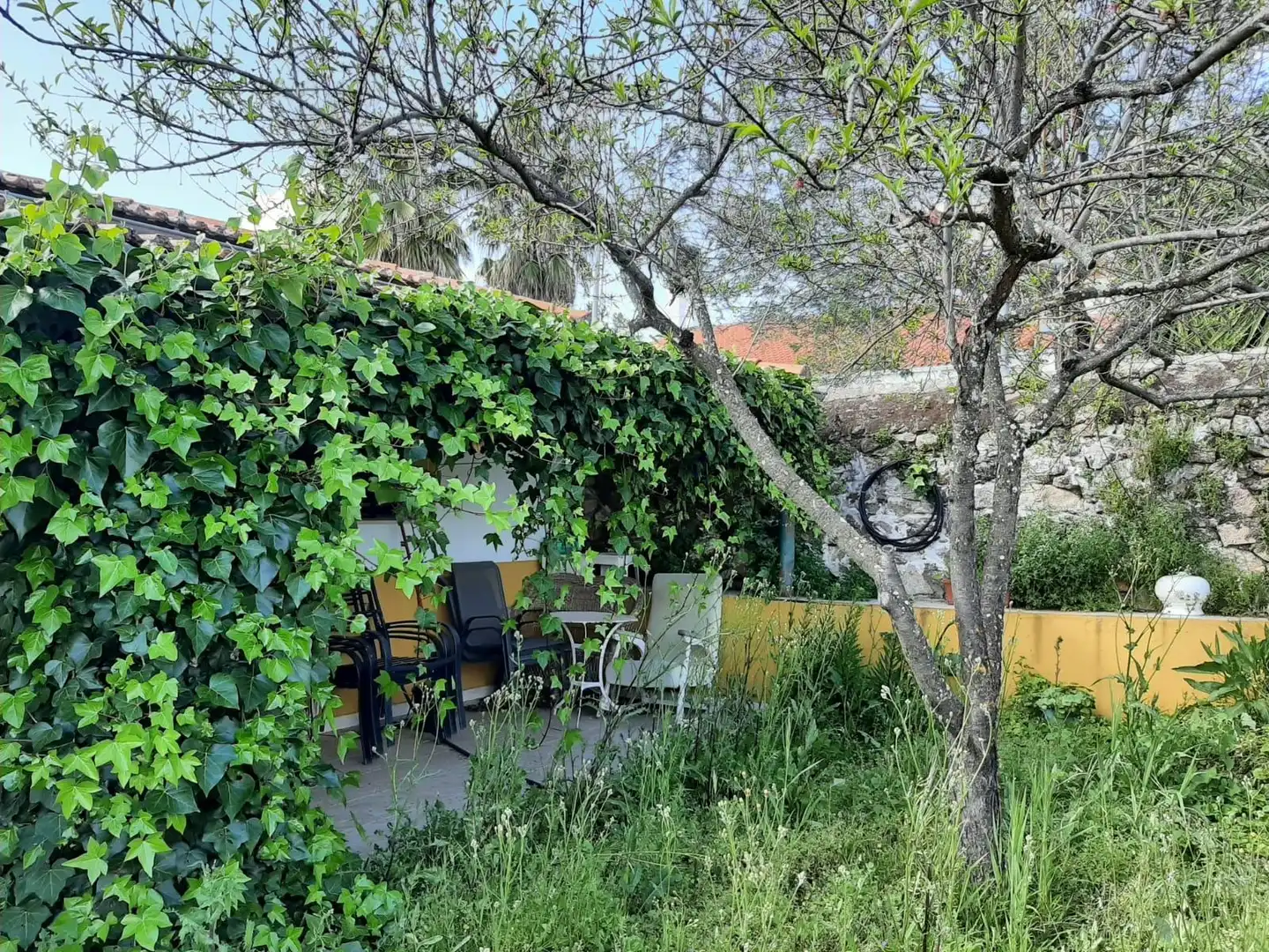 Garden of Houses for sale in Ceclavín  with Air Conditioner, Heating and Private garden