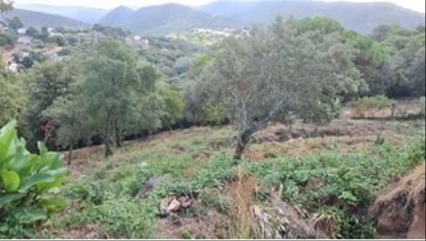 Wohnbaugrundstück zum Verkauf in Sant Cebrià de Vallalta