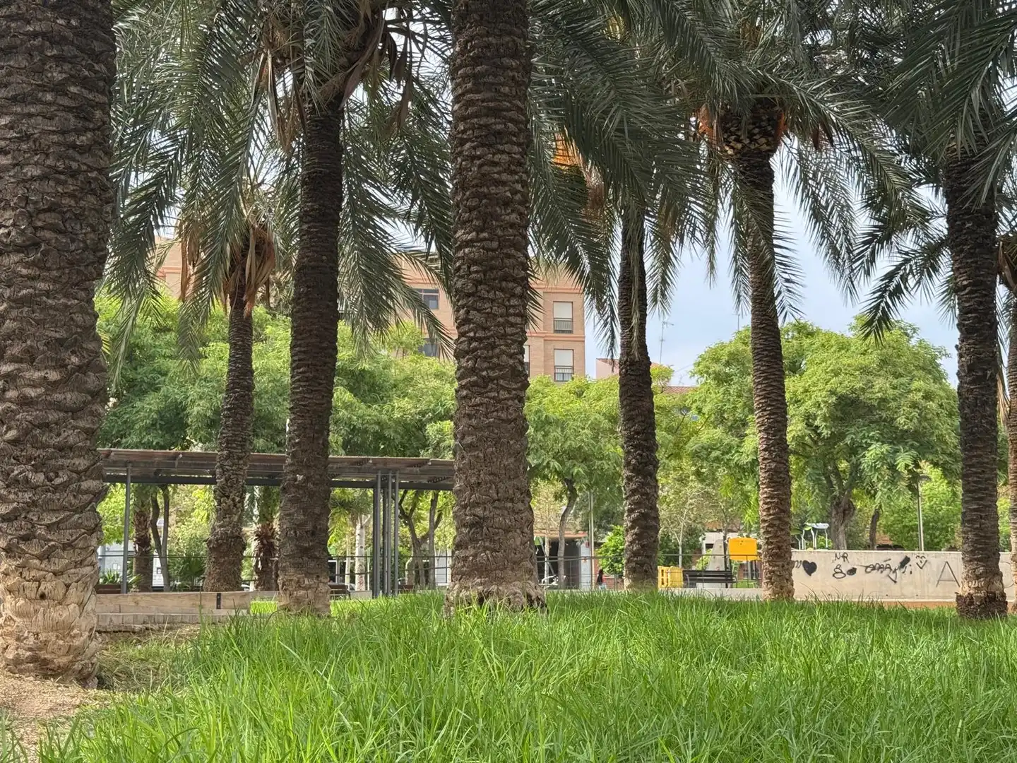 Vista exterior de Pis en venda en Elche / Elx amb Alarma