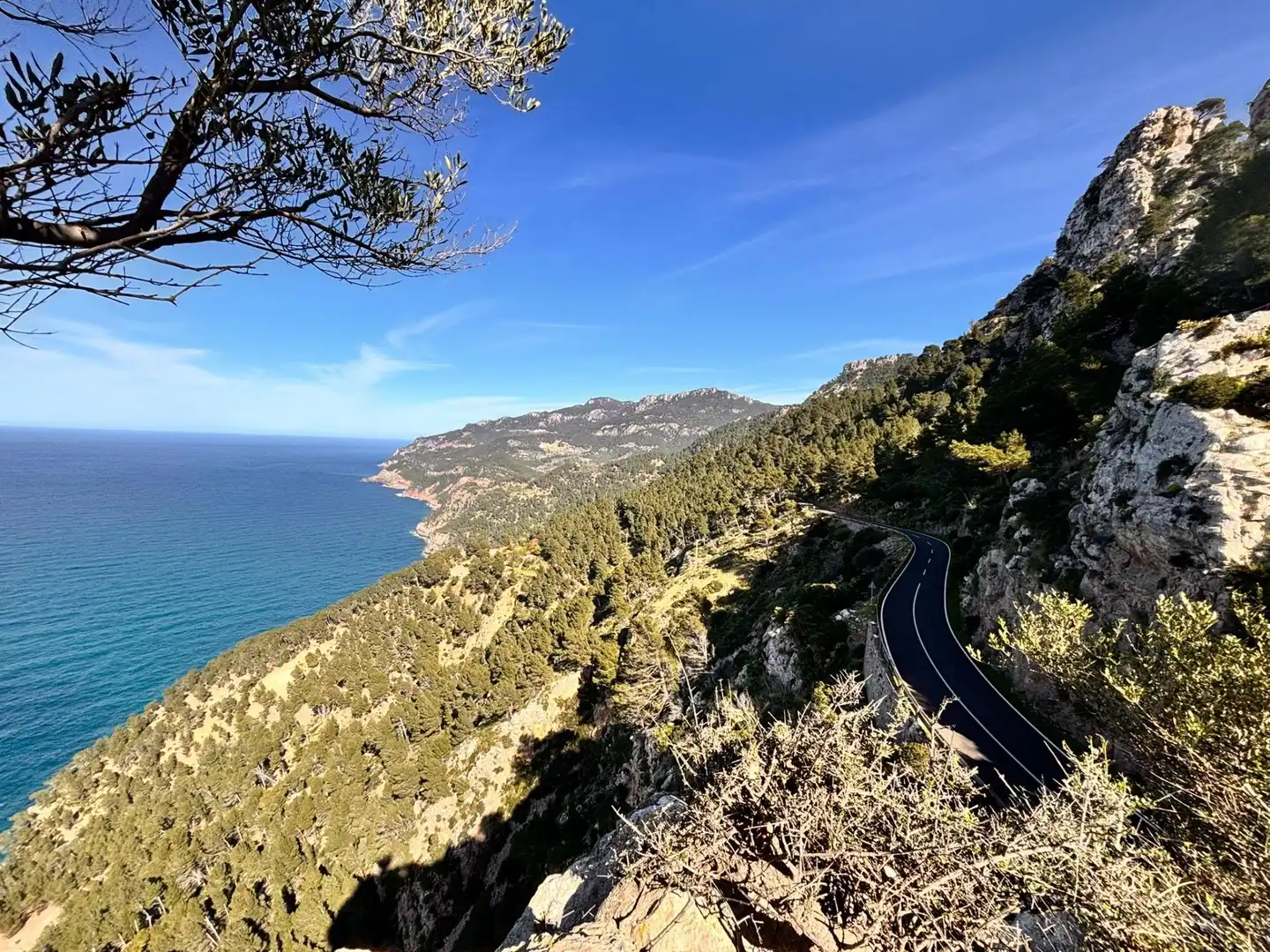 Exterior view of Land for sale in Estellencs