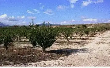 Rustikales Grundstück zum Verkauf in Calle Caravaca 103, imagen 3