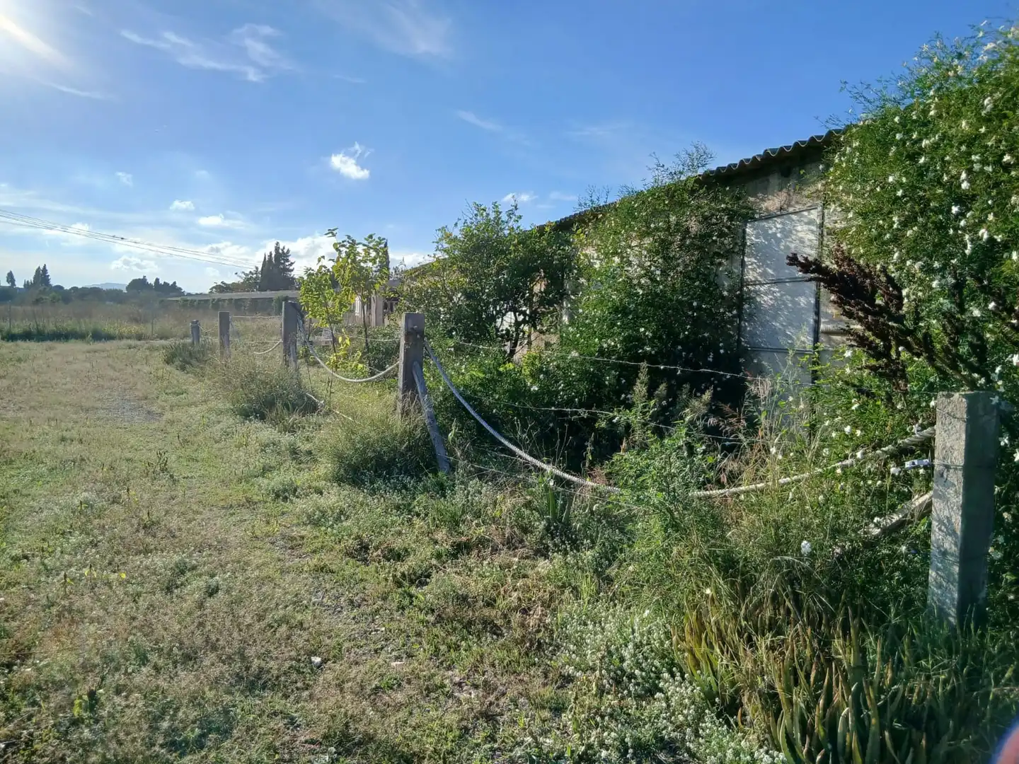 Terreny rústic en venda a Ulldecona, imagen 37