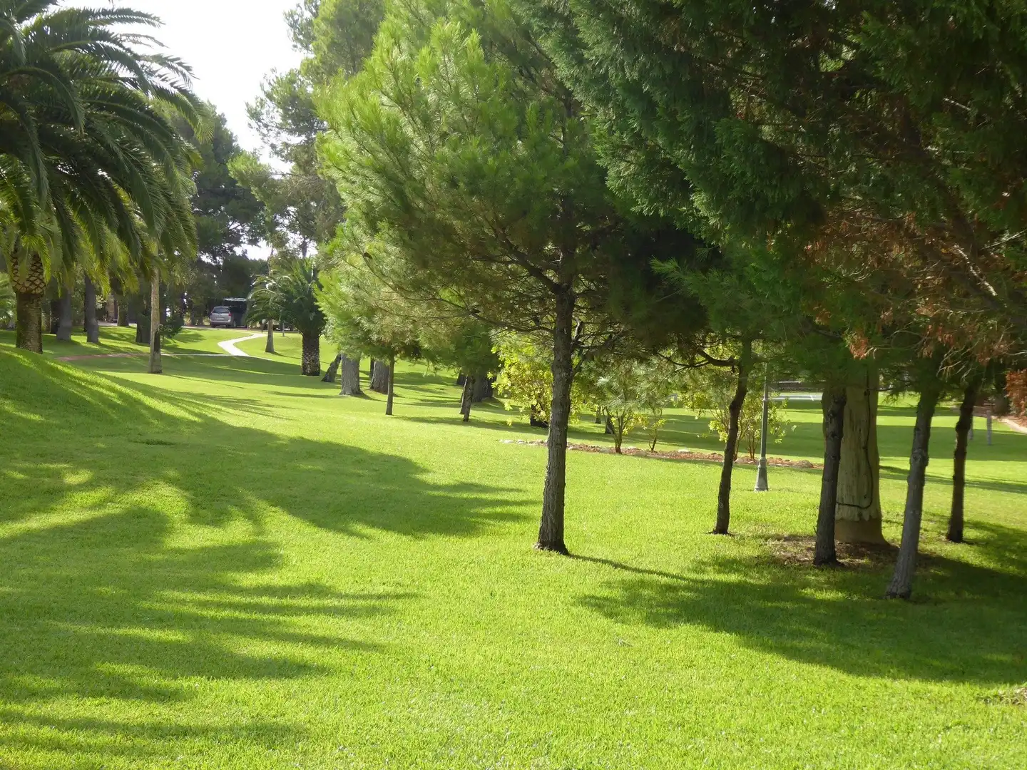 Jardí de Casa o xalet en venda en Alcalà de Xivert amb Calefacció, Jardí privat i Piscina