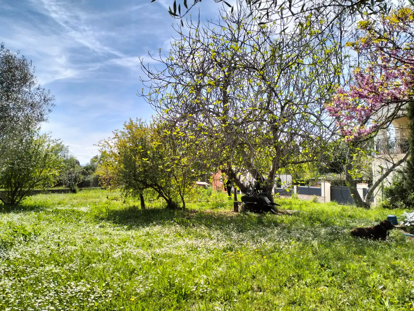 Residencial en venta en Vilanant