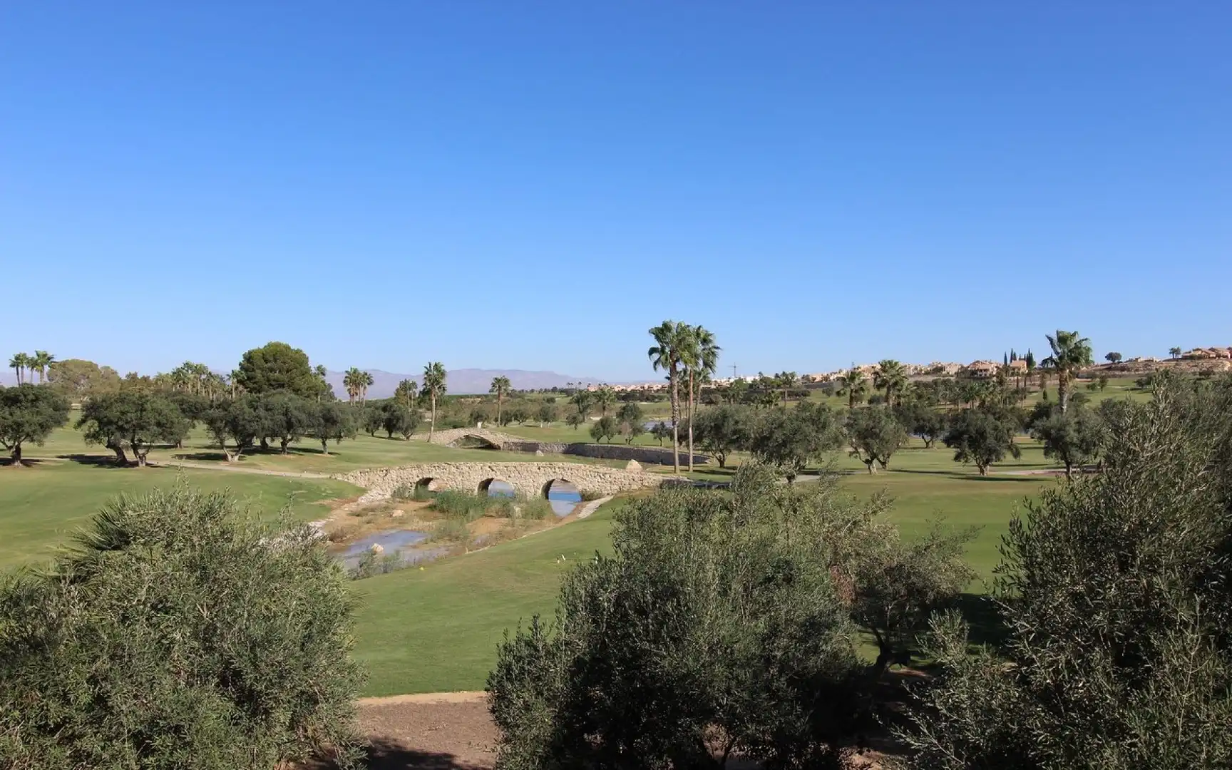 Villa in vendita a Algorfa, imagen 8