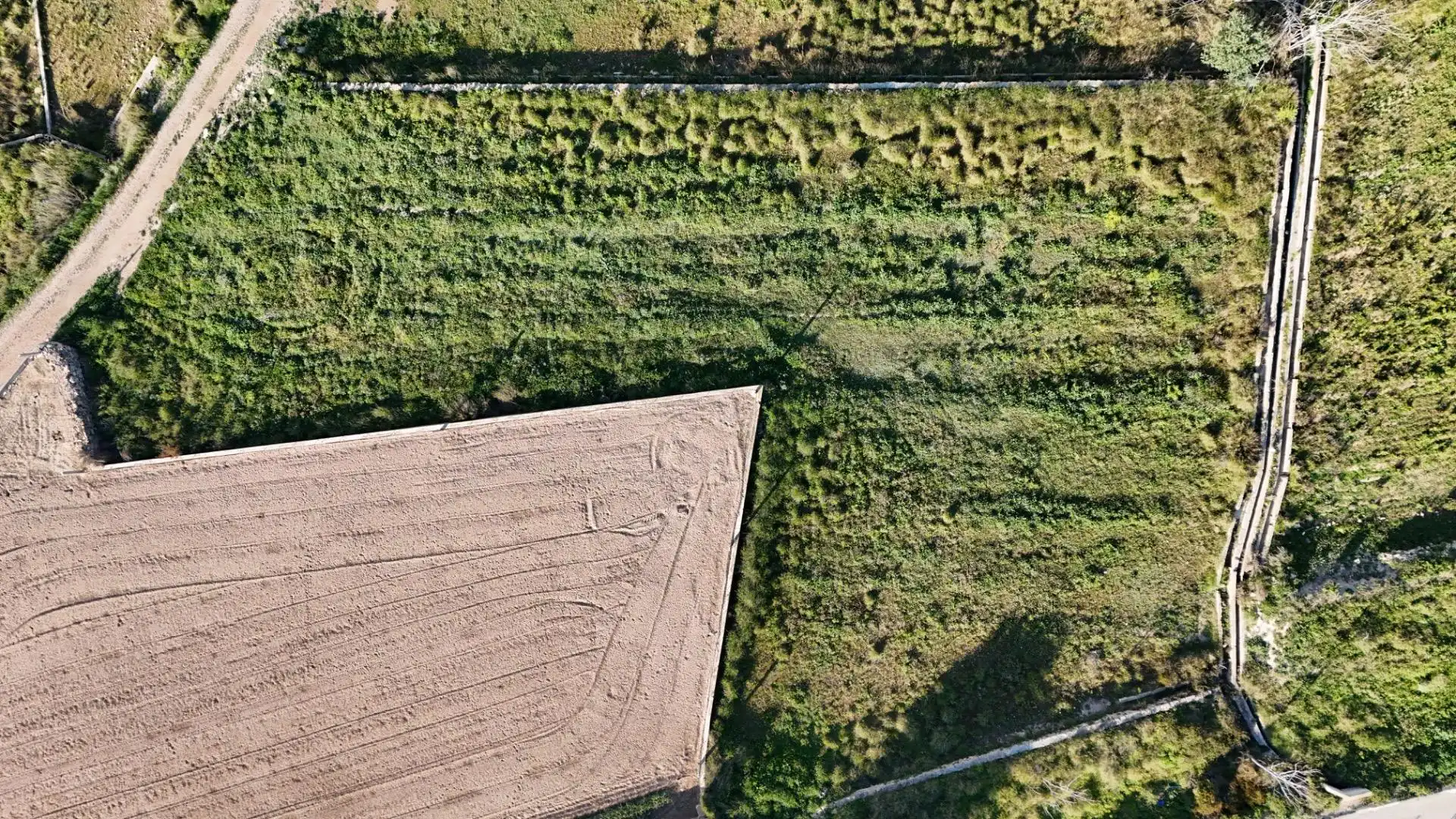 Terrain rustique à vendre à Parque de la Bombilla, imagen 4