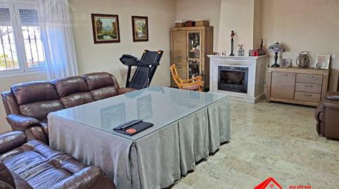 Foto 4 de Finca rústica en venda a Alcolea, Córdoba