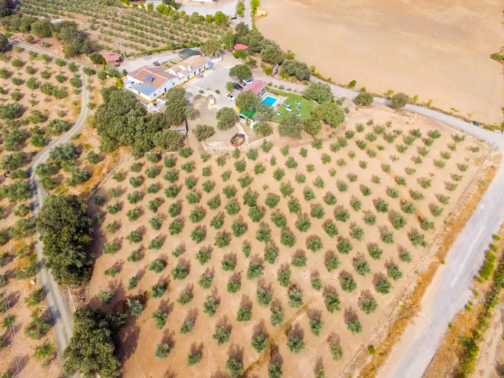 Finca rústica en venda en Archidona amb Jardí privat, Terrassa i Traster
