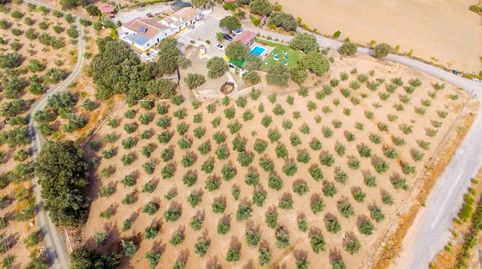 Foto 2 de Finca rústica en venda a Archidona, Málaga