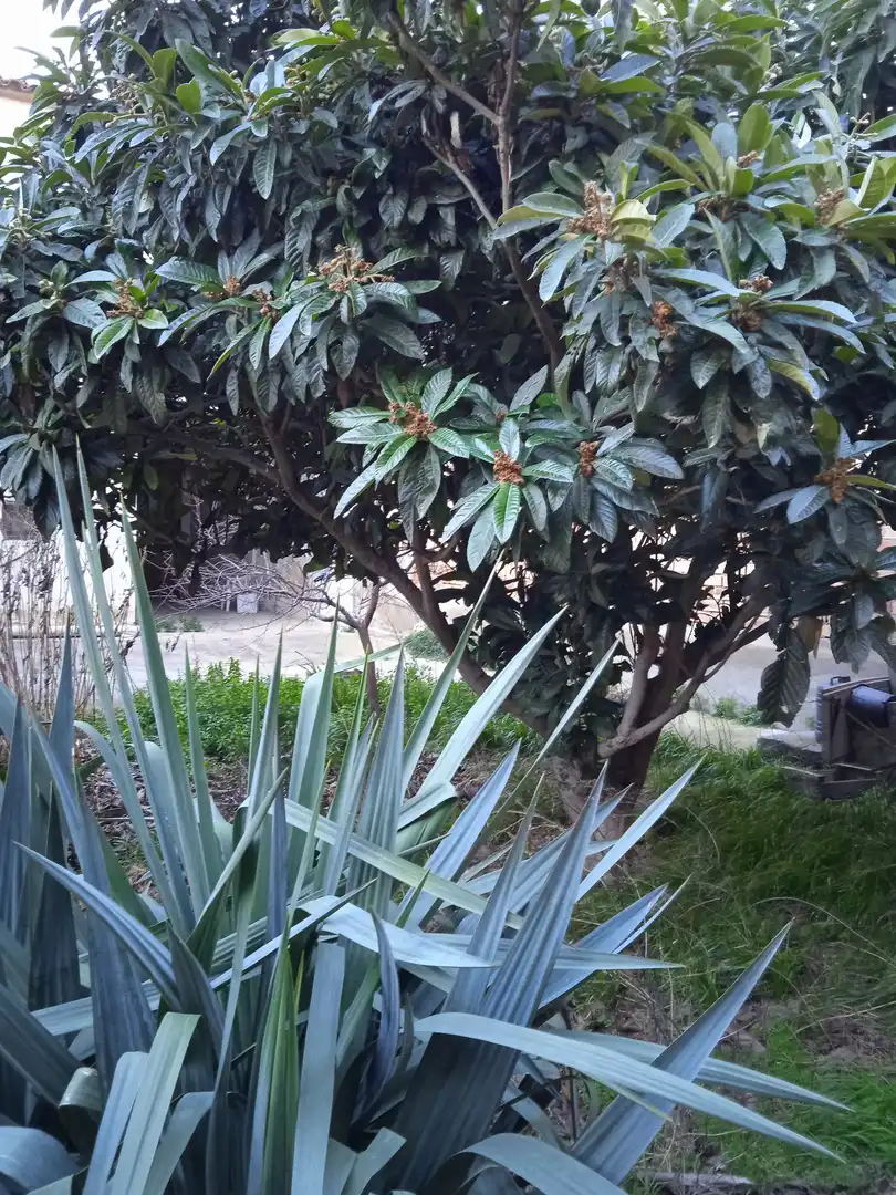 Casa o chalet en venta en Calle Teruel, Boquiñeni