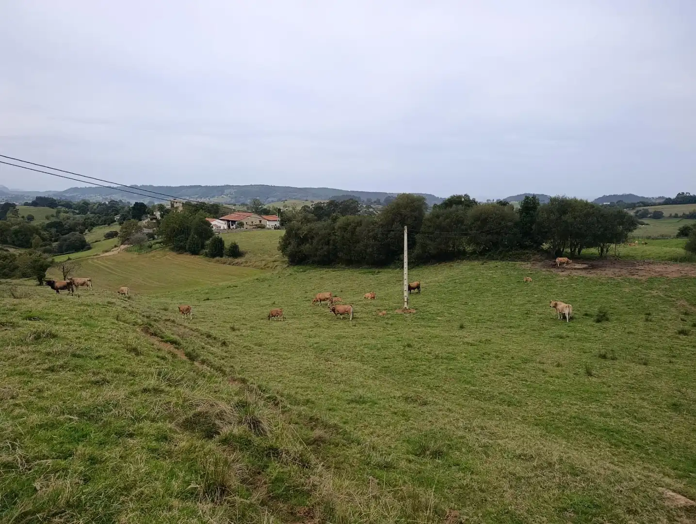Rustikales Grundstück zum Verkauf in Carretera Piñera (Noriega) 0, imagen 18