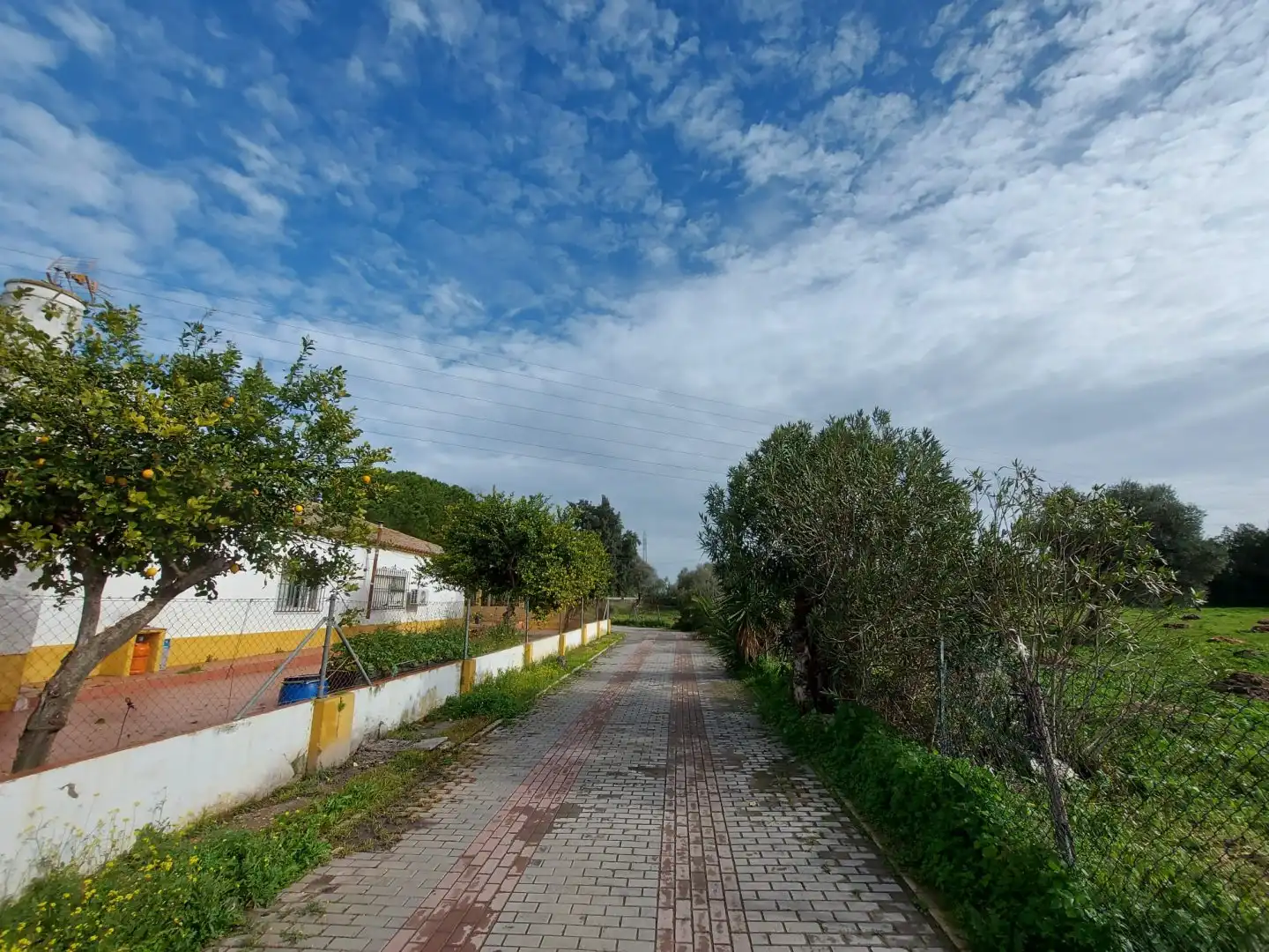 Vista exterior de Casa o xalet en venda en Dos Hermanas amb Terrassa, Piscina i Moblat