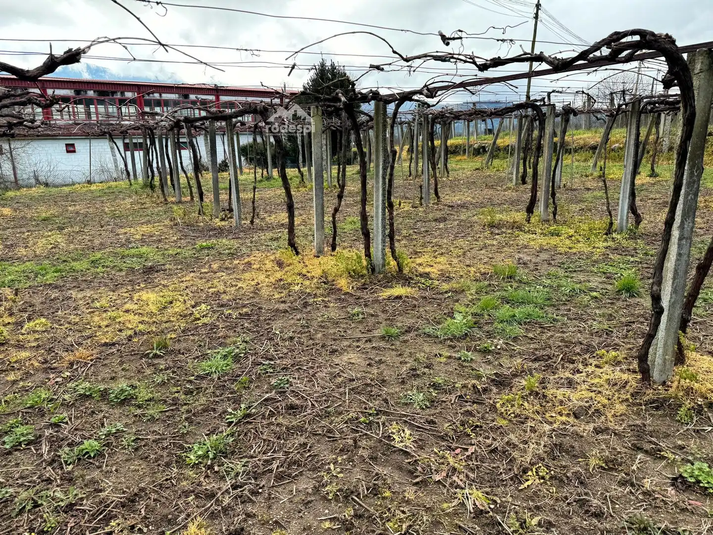 Rural land for sale in Arbo, imagen 23