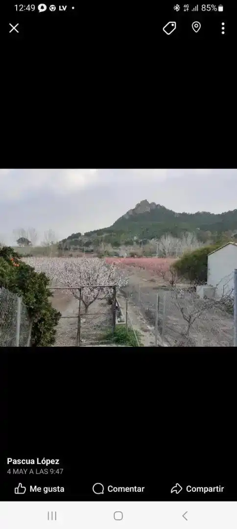 Finca rústica en venda en Cieza, Murcia