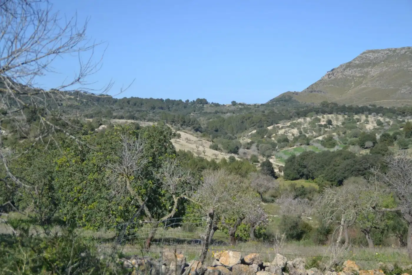 Casa rústica amb jardí en venda a Sant Llorenç des Cardassar, imagen 25