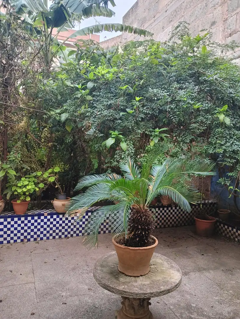 Jardín de Casa o chalet en venta en Manacor