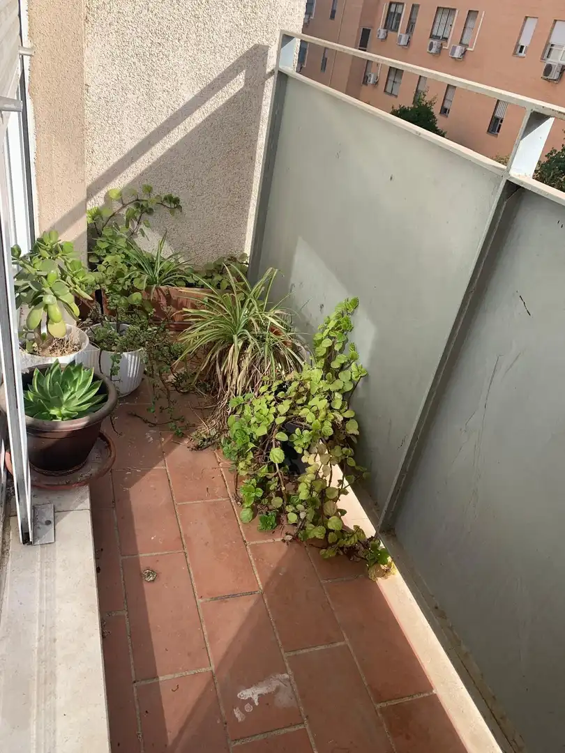 Flat with lift for sale in Cerro - Amate, imagen 2