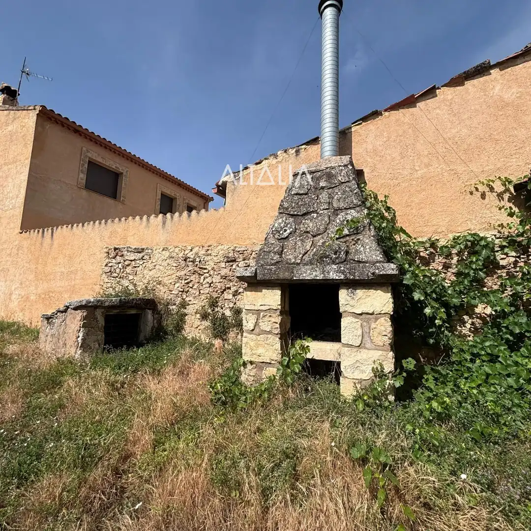 Garden of Land for sale in La Frontera  