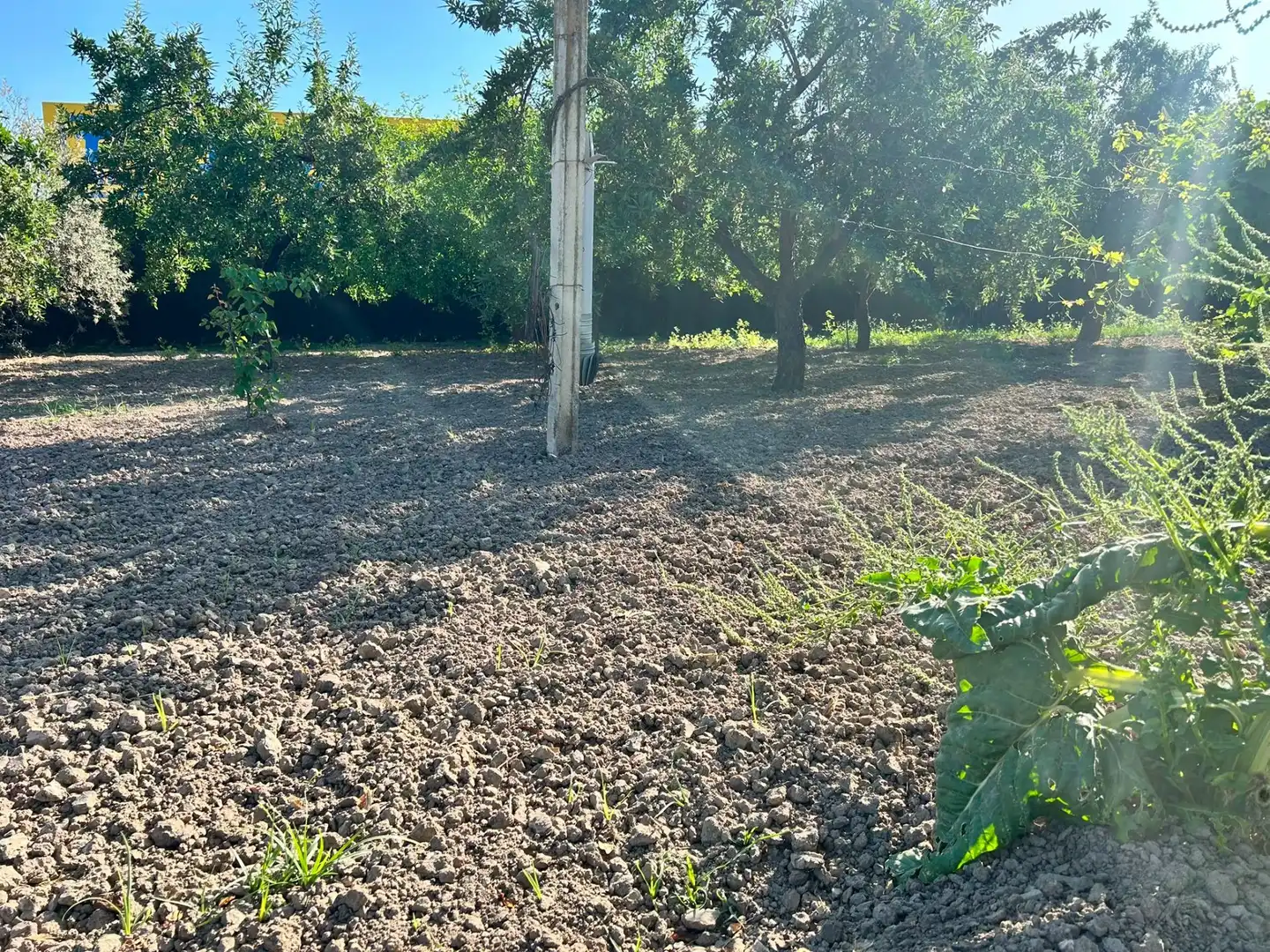 Terreni e lotti in vendita a Atarfe, imagen 9