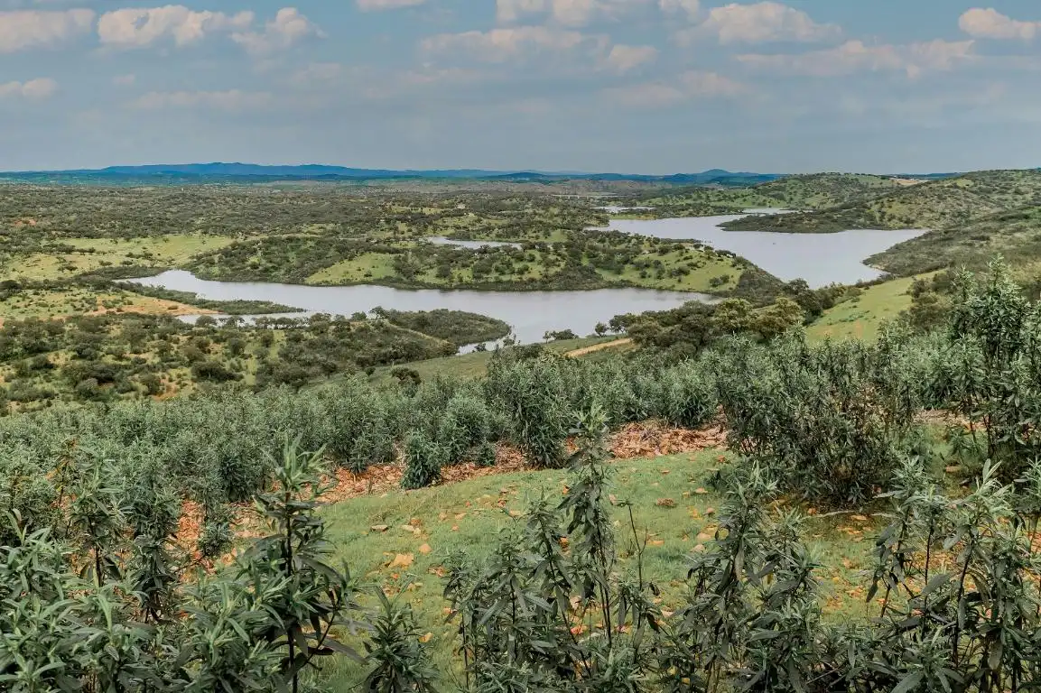 Terreni e lotti in vendita a Diseminado Diseminados 15, imagen 10