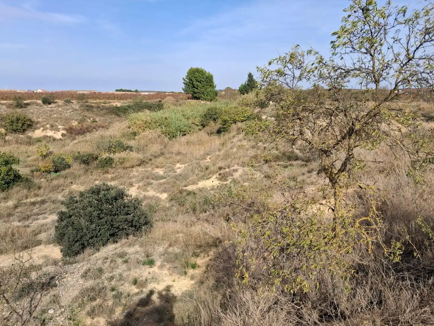 Terreni e lotti in vendita a Belver de Cinca, imagen 5