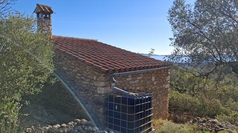 Foto 5 de Finca rústica en venta en Placita Dels Forns, Benlloc, Castellón