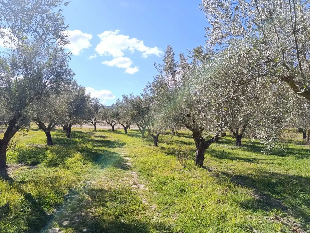 Country house for sale in Batoi, imagen 27