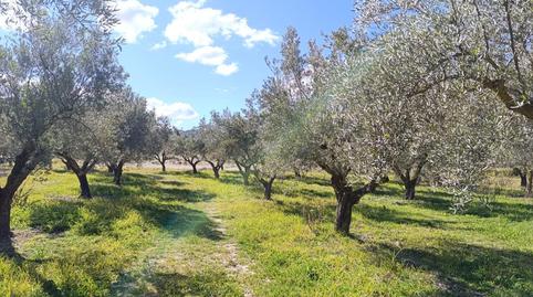 Photo 2 of Country house for sale in Batoi, Alicante