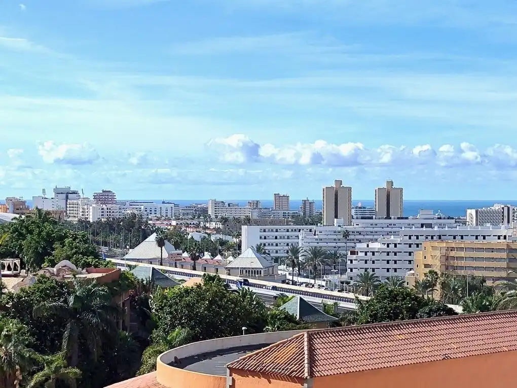 Exterior view of Study for sale in Adeje  with Terrace