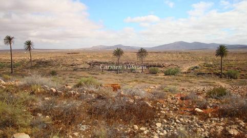 Photo 3 of Industrial land for sale in Los Alares, Valles de Ortega, Las Palmas