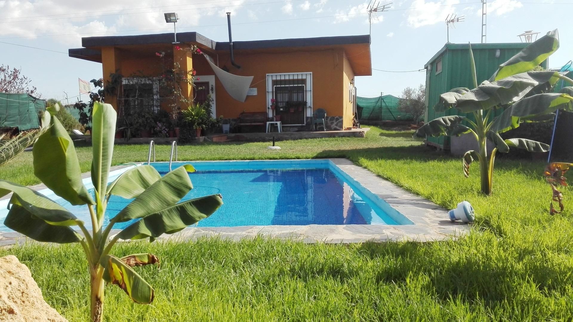Swimming pool of House or chalet for sale in Alcalá de Guadaira  with Terrace and Swimming Pool