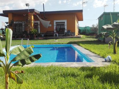 Piscina de Casa o xalet en venda en Alcalá de Guadaira amb Terrassa i Piscina