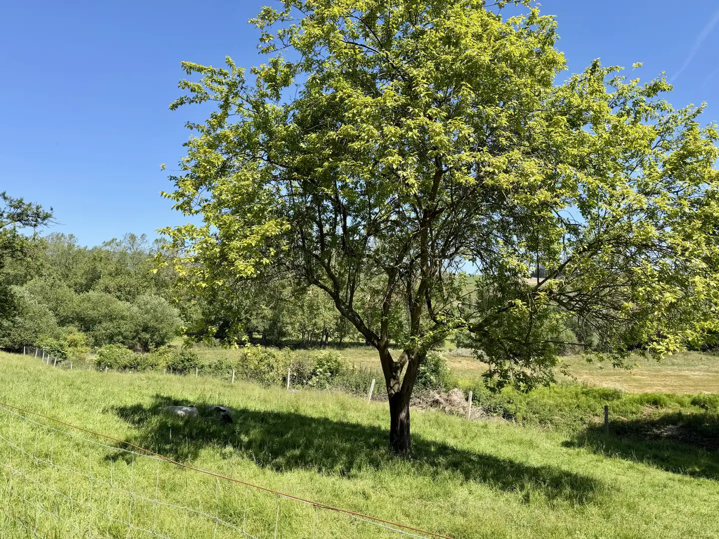 Casa amb jardí en venda a Queveda - BO QUEVEDA-MERMON 10, imagen 49