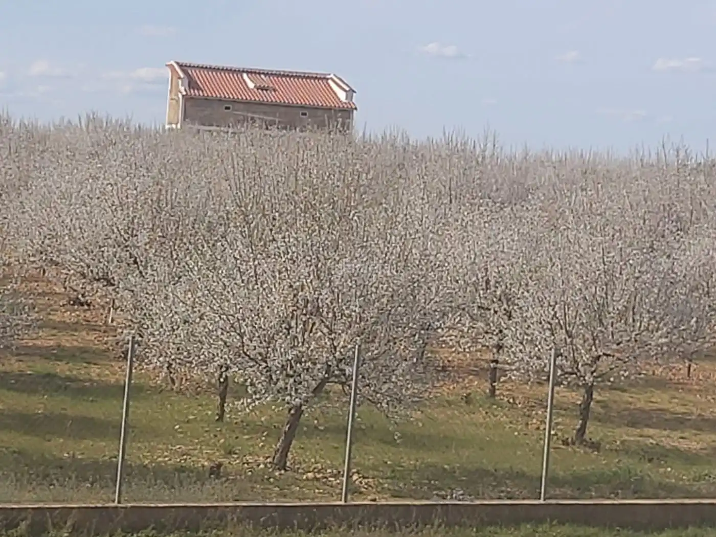 Terreni e lotti in vendita a Calle Carrizo 13